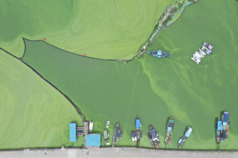 Oh, water - DJI_0370